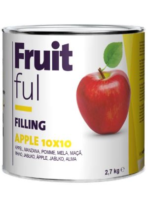 Sefco Zeelandia Fruitful apple 10x10 2,7kg