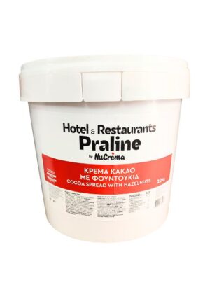 Πραλίνα κακάο με φουντούκια Nucrema Hotel & Restaurants 22kg